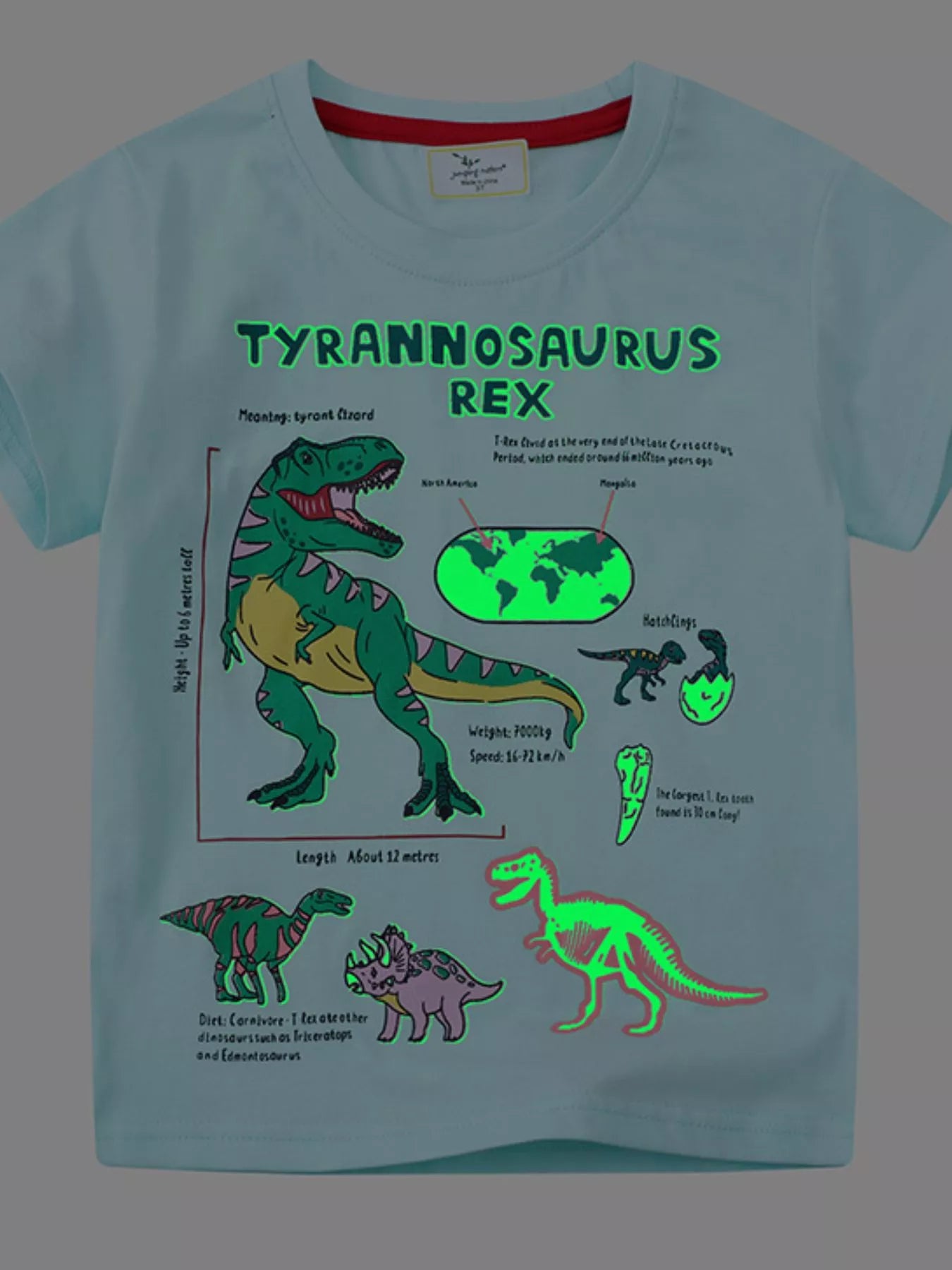 eae423c0-93dd-4c7d-b271-28409180745a-Max-Origin